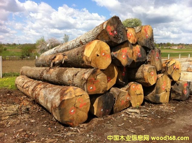 �|�W��ľ-���м�(j��)��Ԕ��(x��)��B