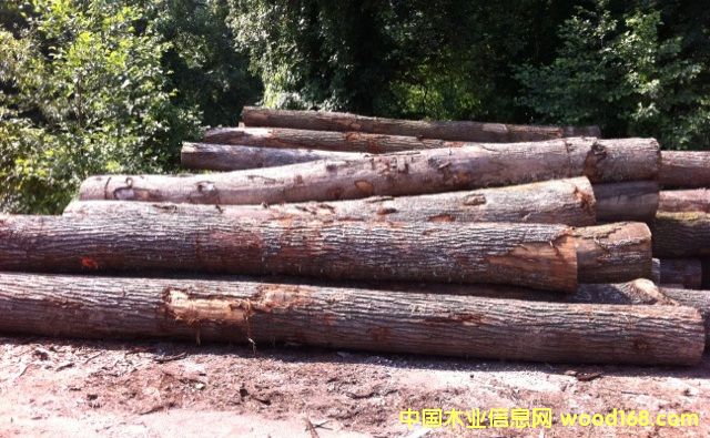 �|�W��ľ-BC��(j��)��Ԕ��(x��)��B