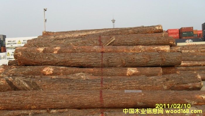 �����m�����ɵ�Ԕ��(x��)��B