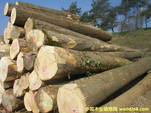 ˮ������Ϟ?z��i)���Ԕ�?x��)��B