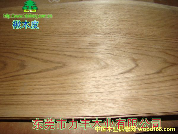 �ľ��Ԕ����B