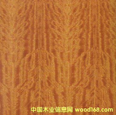 ����ľƤ��Ԕ����B