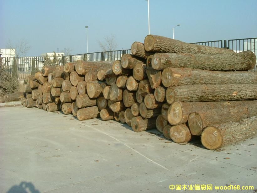 �����m��ľ�����𣩵�Ԕ����B