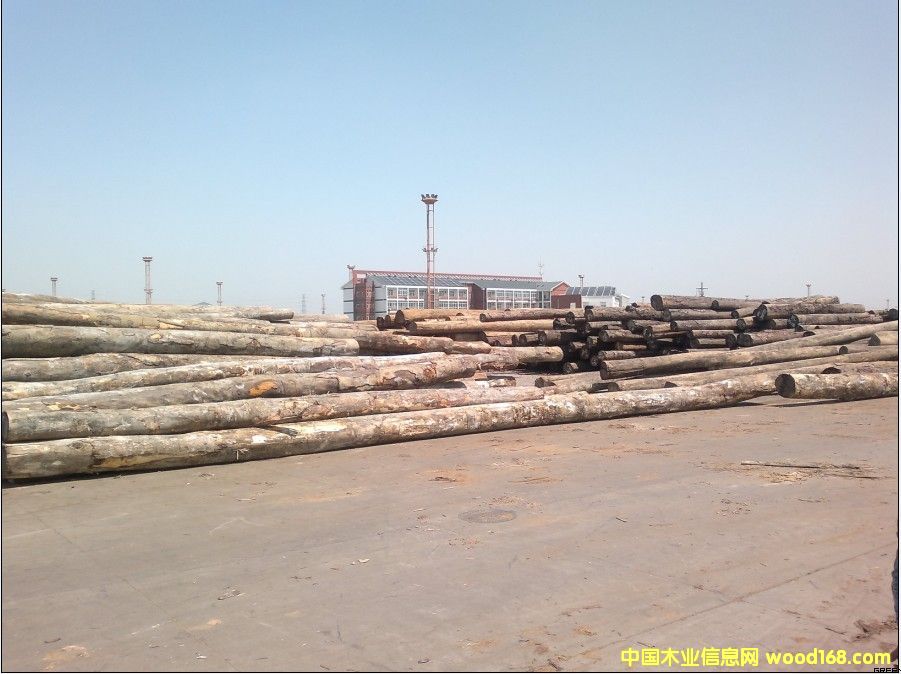 ��Ƥ��ԭľ��Ԕ��(x��)��B