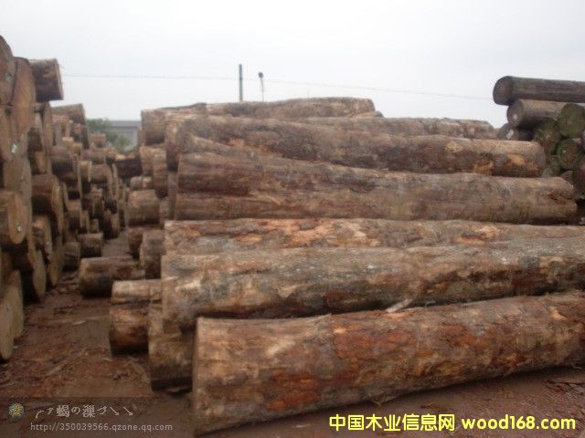 ݗ����ԭľ��Ԕ��(x��)��B