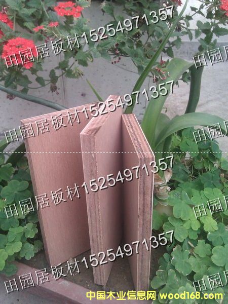 ��¡ľ��Ԕ��(x��)��B