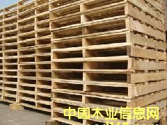 ���_(t��i)���Ԕ��(x��)��B