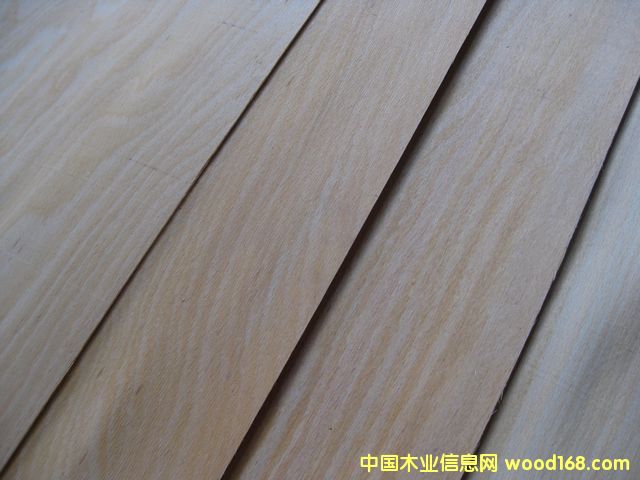 ��ľ�ΰ��Ԕ��(x��)��B