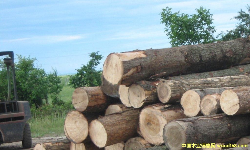 ��ɼ��Ԕ����B