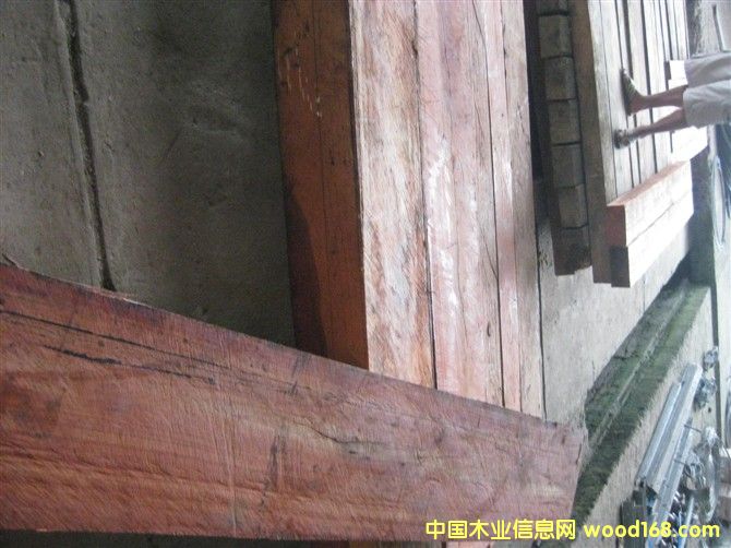 �����ް���֦��Ԕ����B