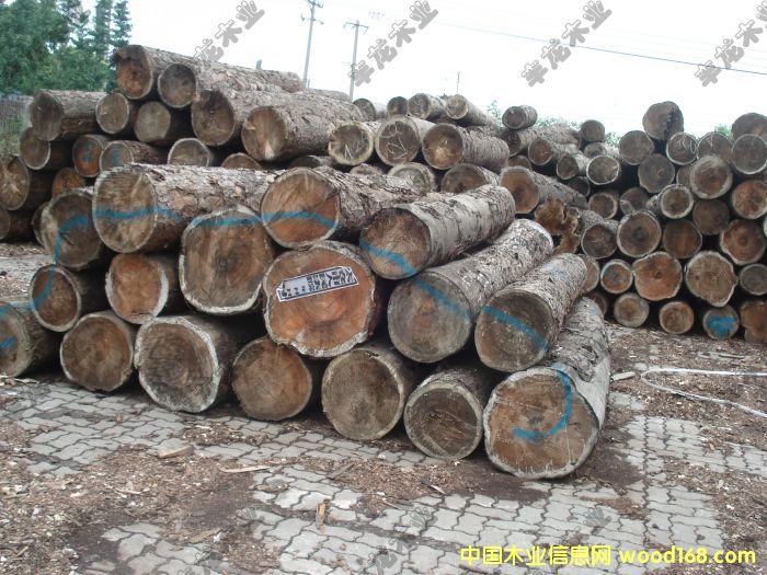 �t��ԭľ��Ԕ��(x��)��B