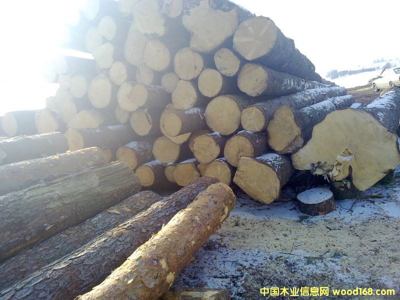 �����m��ɼԭľ��Ԕ��(x��)��B