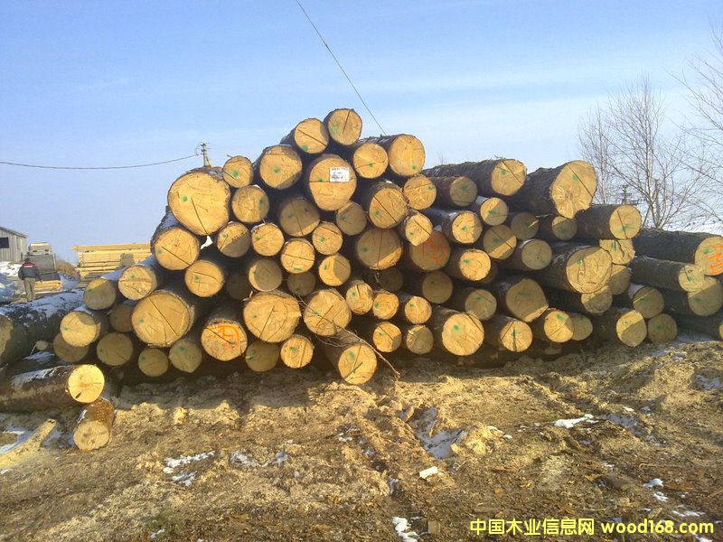 ��������ɼԭľ��Ԕ��(x��)��B