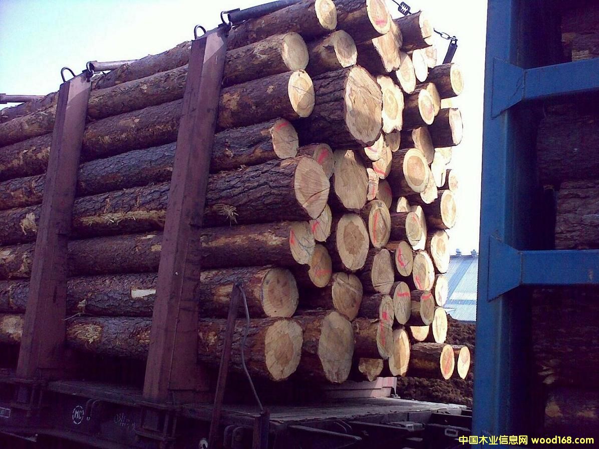 ������������ԭľ��Ԕ��(x��)��B