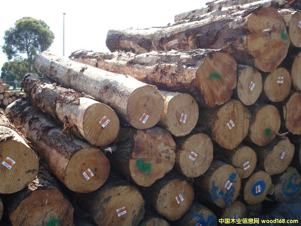 �Ĵ�����ݗ����ԭľ��Ԕ��(x��)��B