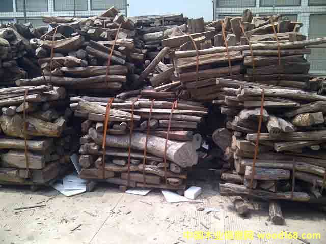 �t��֦(С�ϣ�