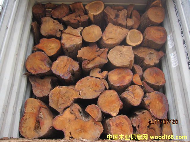 �����棨���ȁ�����Ԕ��(x��)��B