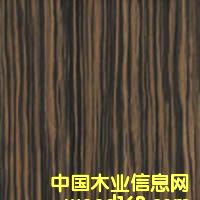 ��̴A��Ԕ��(x��)��B