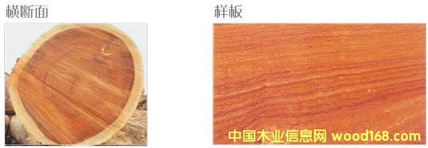 ����С�~�t̴