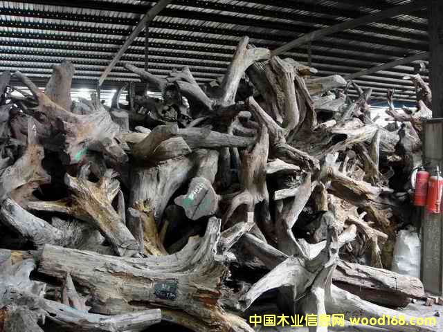 �ϓ�t��֦��(sh��)�^,��(sh��)��