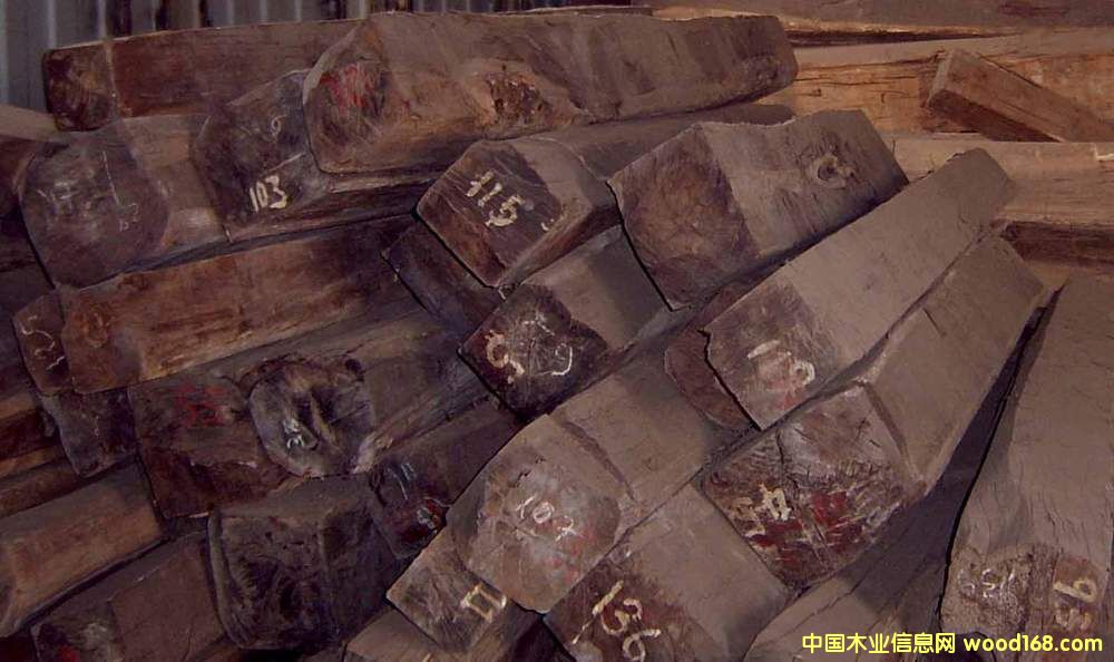 ���޼t��֦