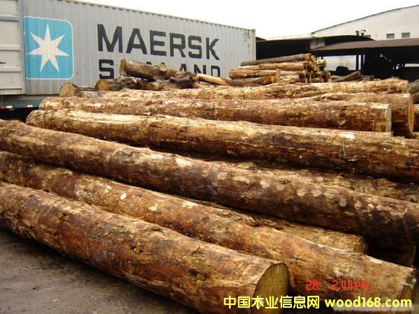 ��֦����ľ���W�����M(j��n)�ڈ�(b��o)�P(gu��n)��(b��o)�zȫ�״���