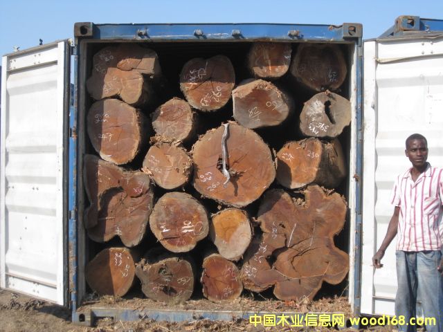 �t�Fľ�������~�t̴����Ԕ����B