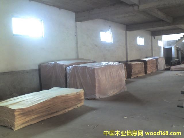 �һ�о��Ԕ��(x��)��B