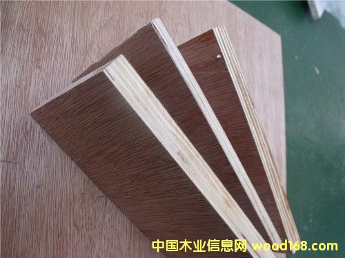 ���ǹ��N���z�ϰ��Ԕ��(x��)��B