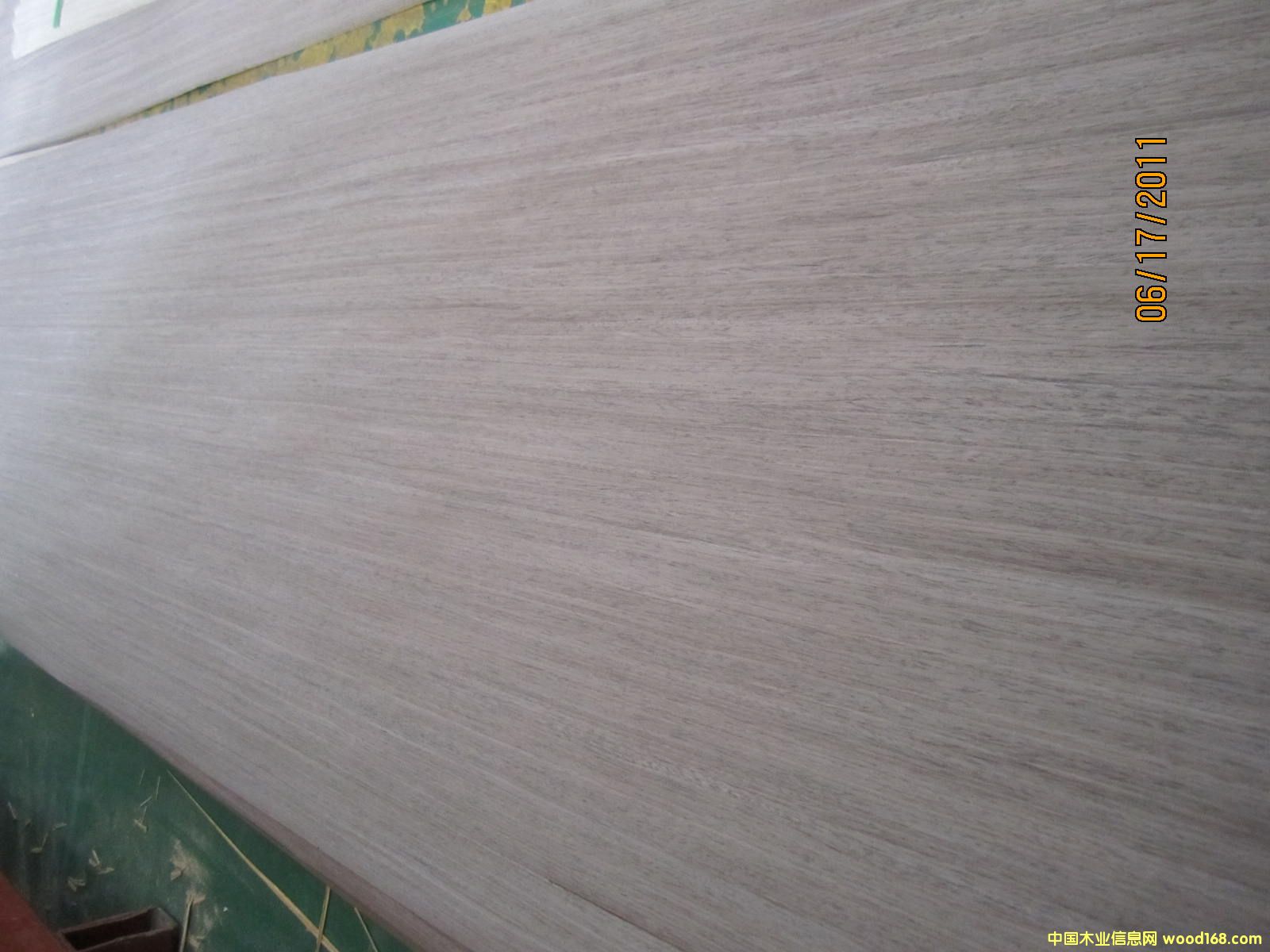 �Ƽ�ľƤ  �ں��� 204��Ԕ��(x��)��B