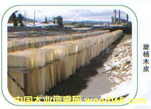 ����һ������^(q��)���Ԕ����B