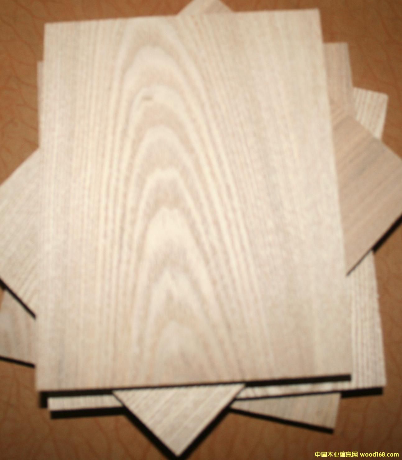 �ߙn��ȻľƤ�����Ԕ��(x��)��B