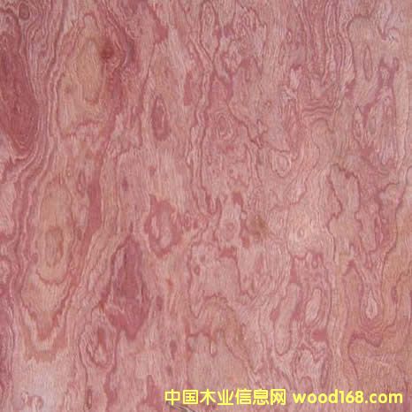 �ߙn��ȻľƤ�����Ԕ��(x��)��B