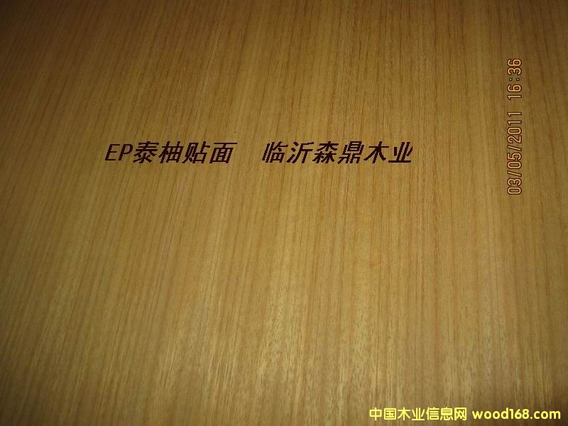 EP̩���N����Ԕ��(x��)��B