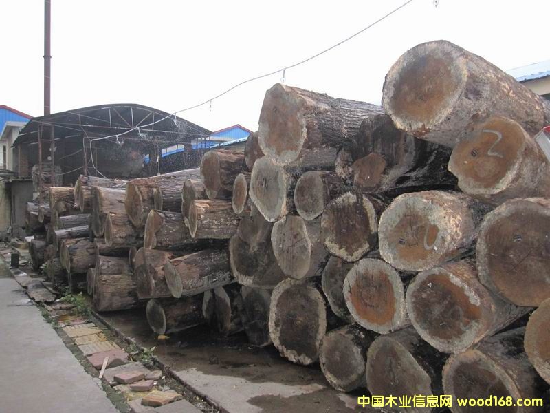 �����t��ԭľ��Ԕ��(x��)��B