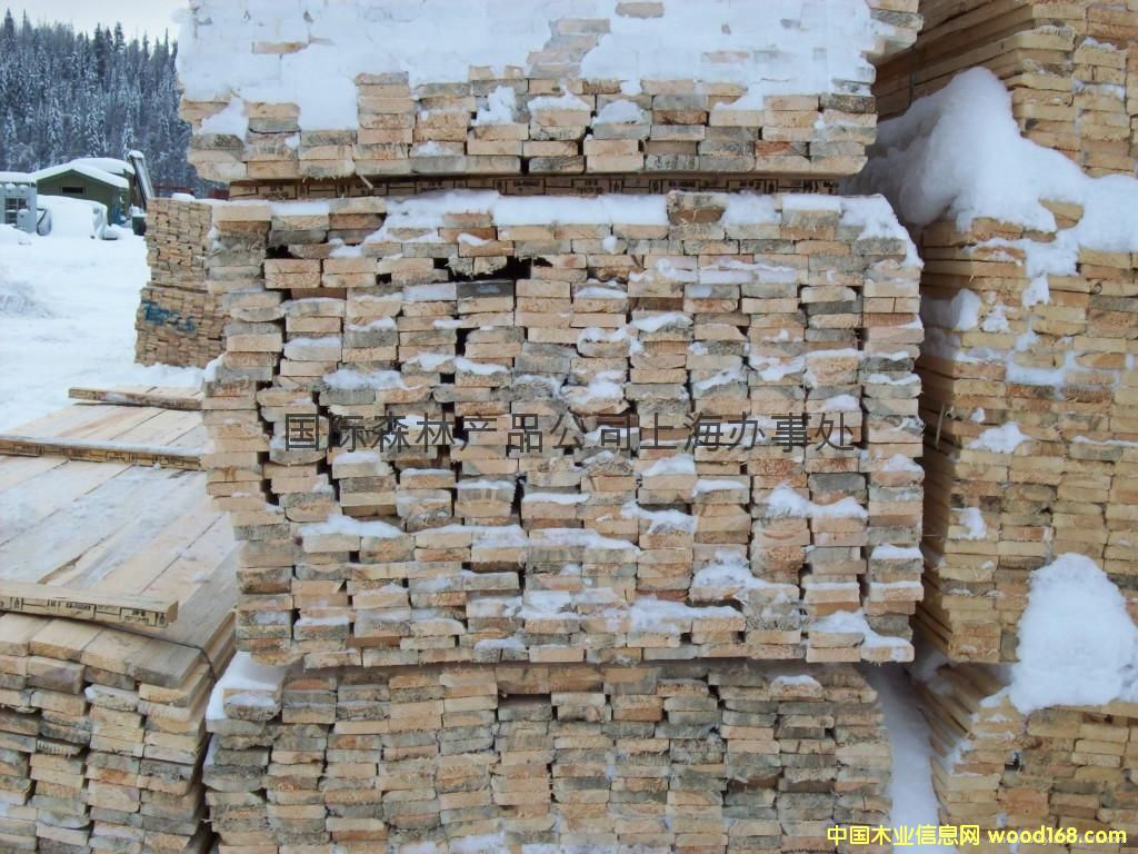 ��������SPF���