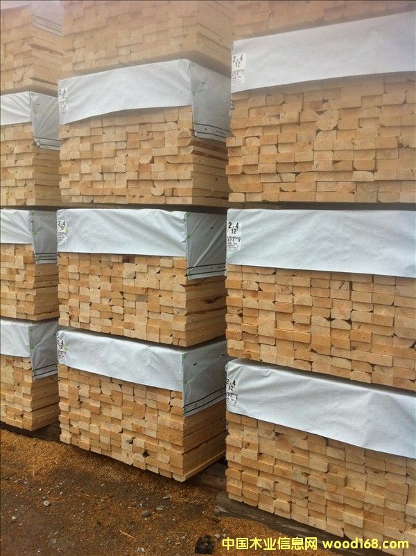 �������ô�(y��u)�|(zh��)SPF��Ȱ�ĵ�Ԕ����B