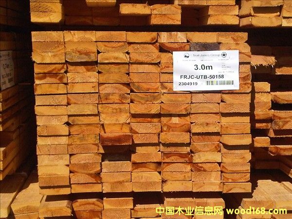 �������ô�(y��u)�|(zh��)������䏲ĵ�Ԕ����B