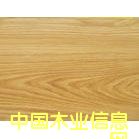 �S���_��ĵ�Ԕ��(x��)��B