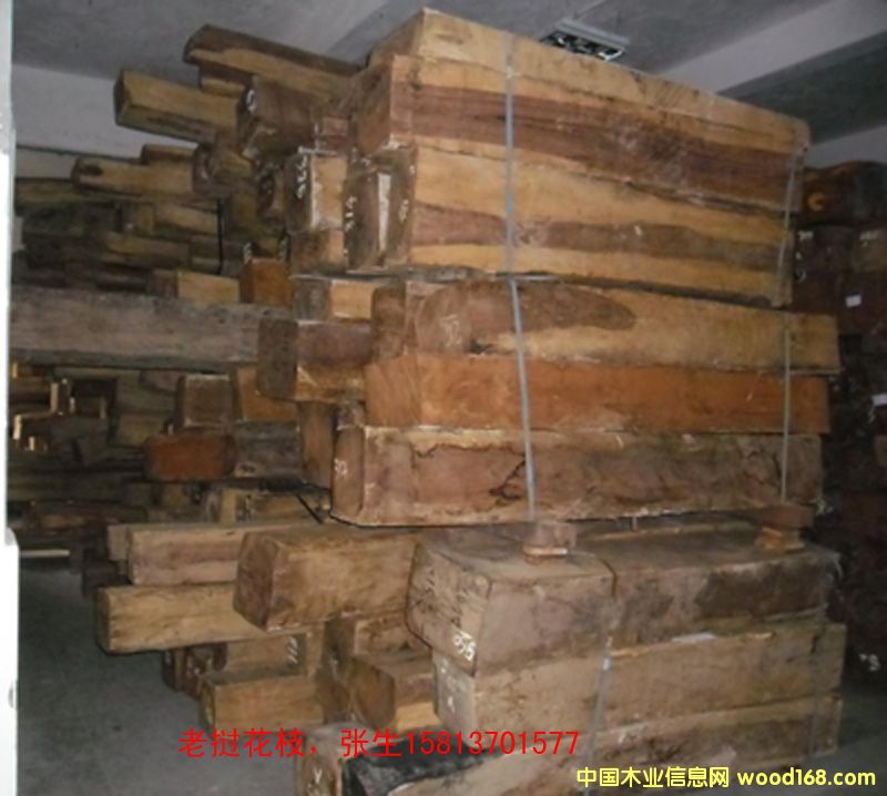 �ϓ뻨֦��Ԕ��(x��)��B