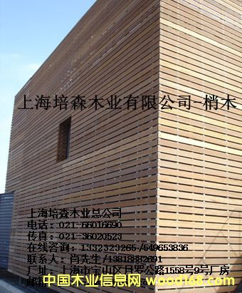 ��ľ��2��Ԕ����B