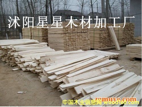 [��] ��ľ�� ľ�� ľ�l ľƬ