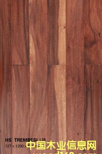 HS  TREMBESI  1ƴ��Ԕ��(x��)��B