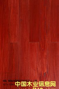 HS  MAHONI�����һ���1ƴ��Ԕ��(x��)��B