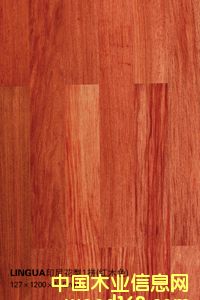 Linguaӡ�Ứ��1ƴ���tľɫ����Ԕ��(x��)��B