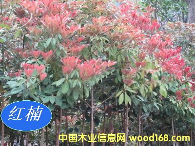 [��] ���ľN�磨�}����E骡�С�~�����骡��ٻ�����t骣�