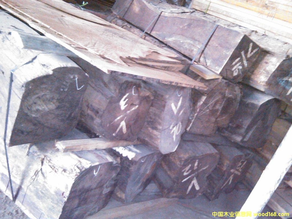 �ϓ��t��֦��Ԕ��(x��)��B