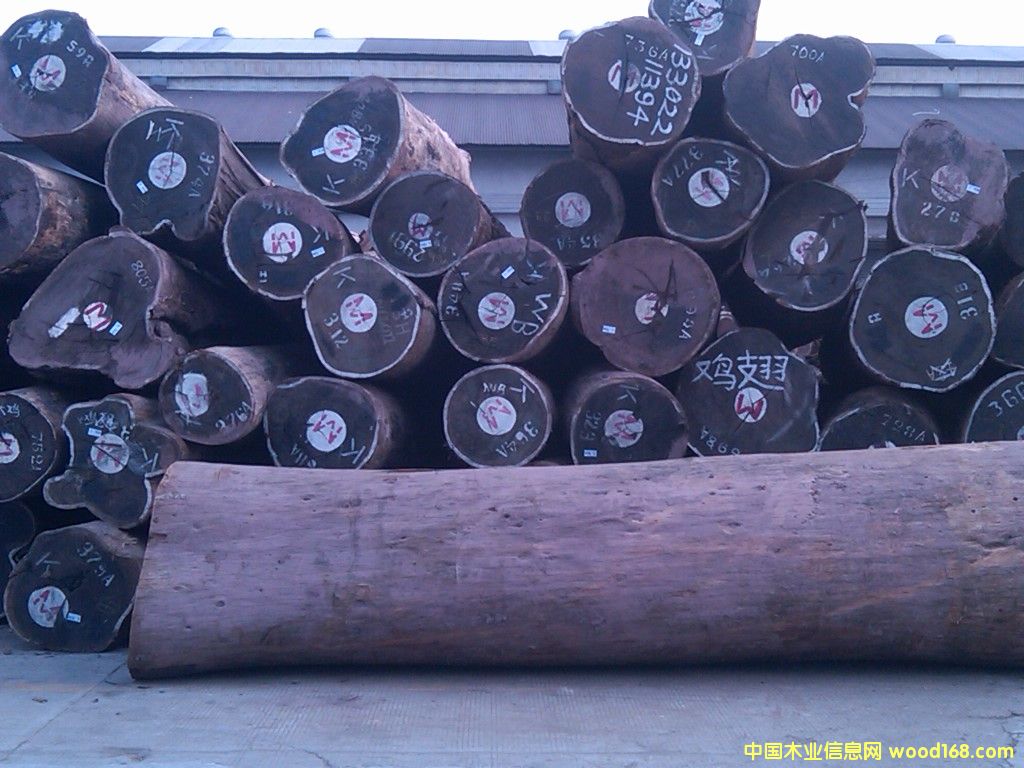 雞翅的詳細(xì)介紹