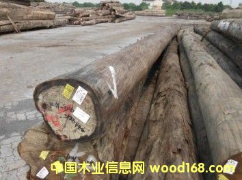 �����Ԕ��(x��)��B