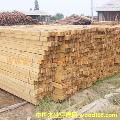 ɼľ����ɼľƴ��